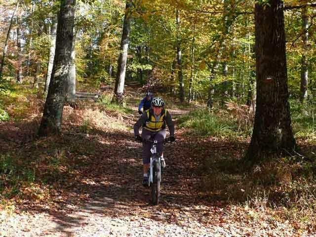 Etape Foret Fontainebleau Climb & Randonnees Arbonne Exteriér fotografie